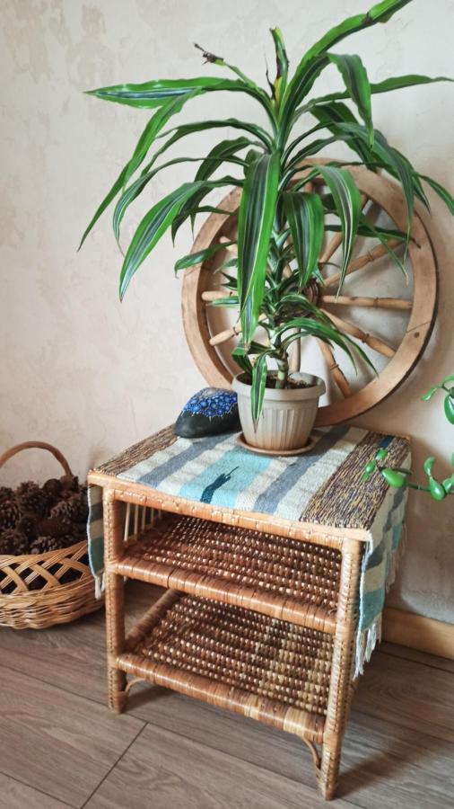 Evergreen Guesthouse Karakol Luaran gambar
