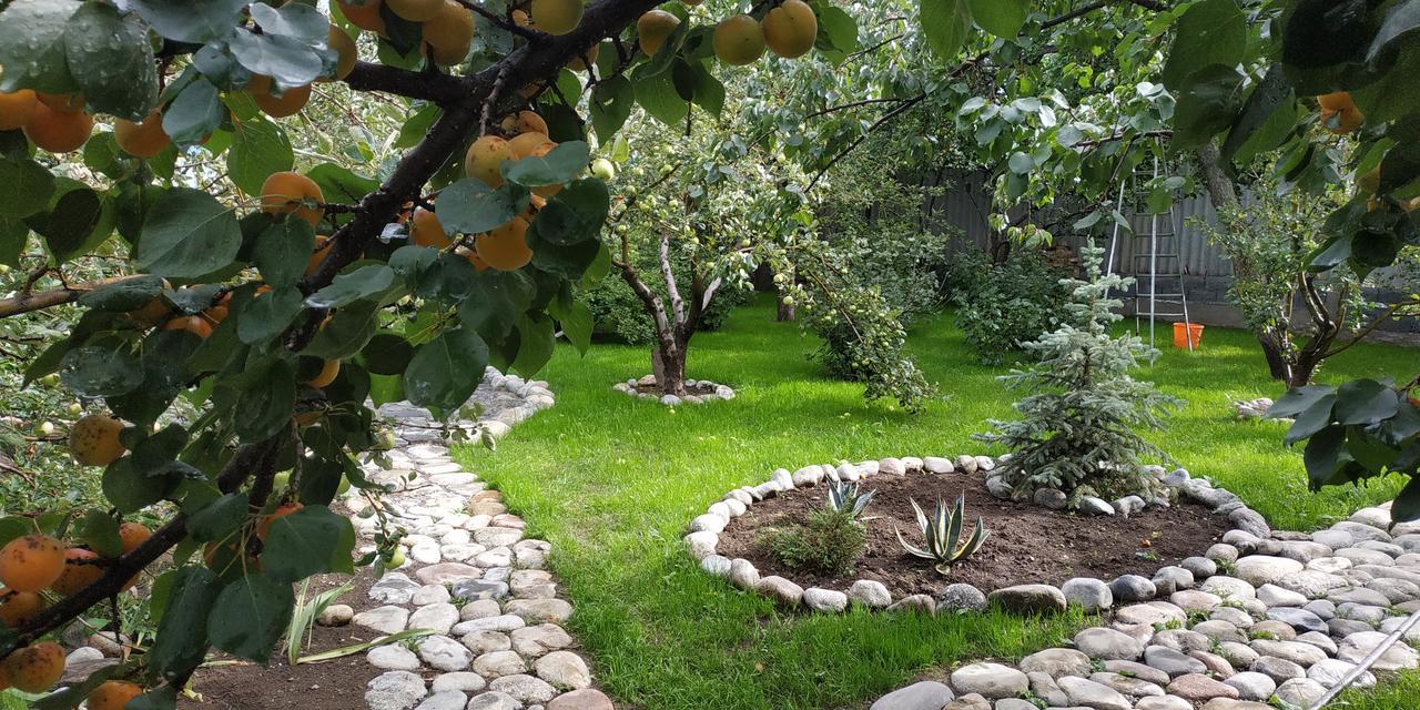 Evergreen Guesthouse Karakol Luaran gambar